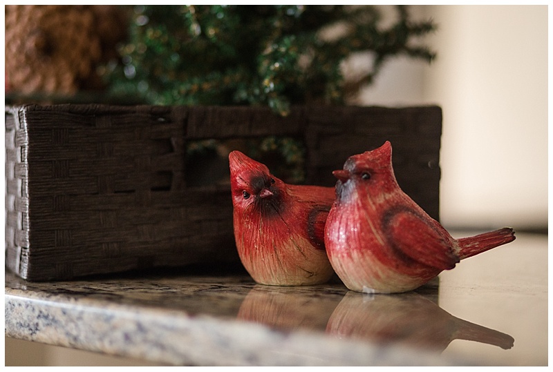 Cardinal and Poinsettia Christmas Decorations