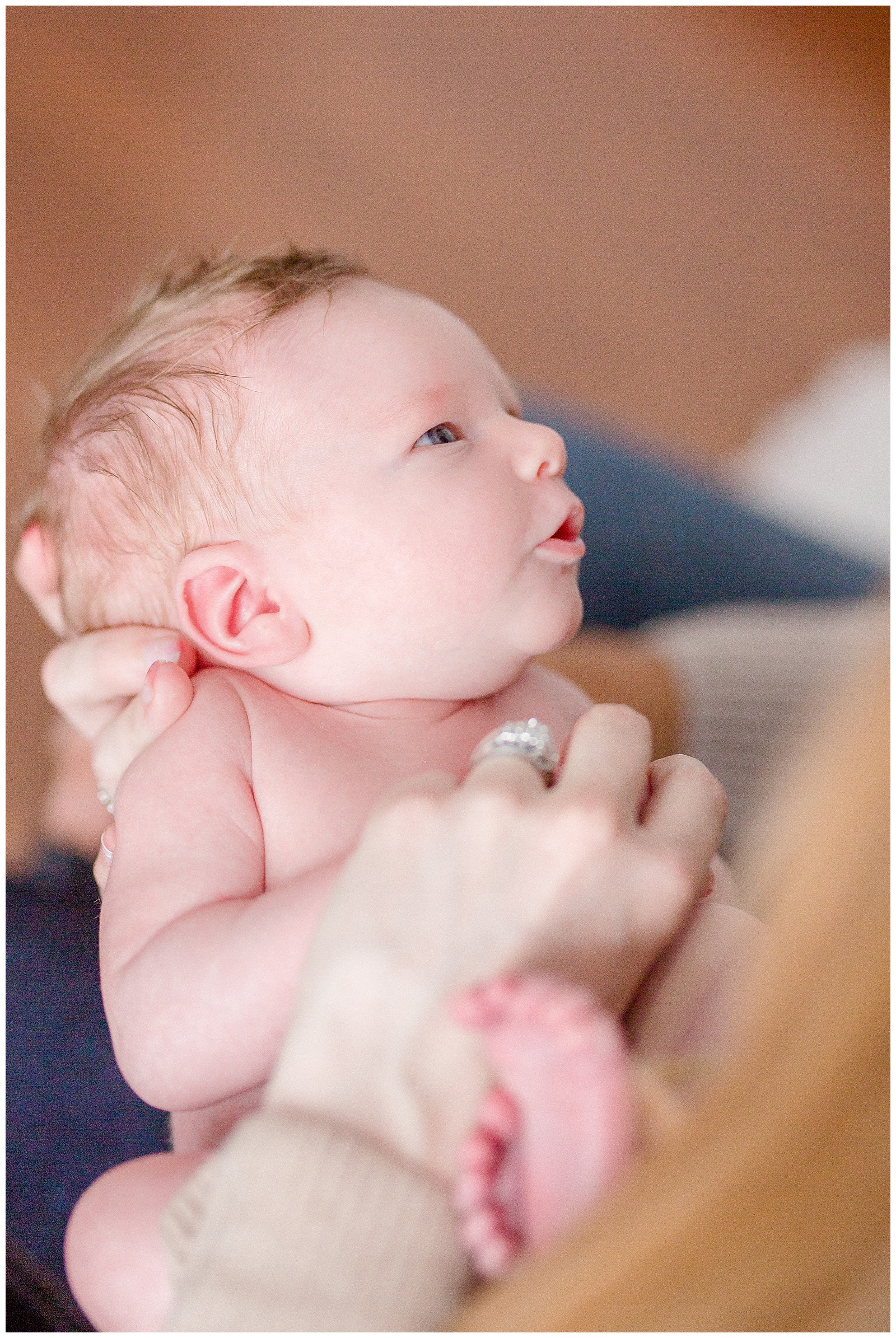 holloway newborn session