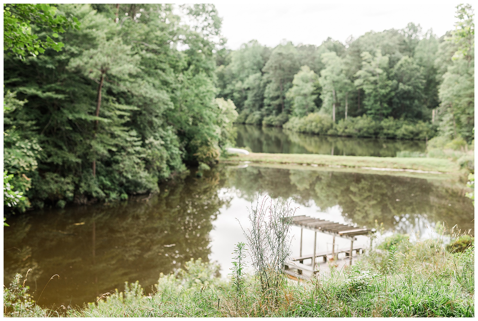 bel-laurel-farm-wedding-williamsburg-va-3.jpg